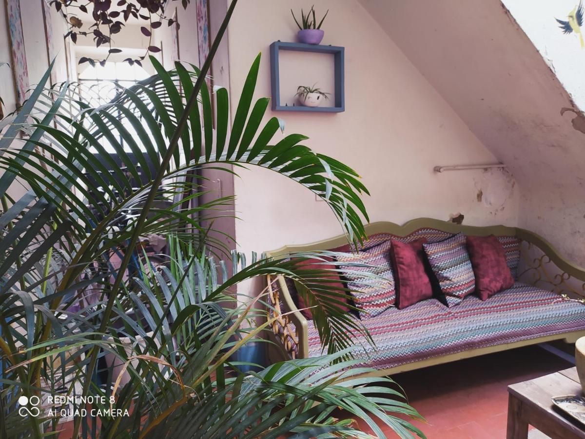 Casa Atenas (Adults Only) Guadalajara Dış mekan fotoğraf